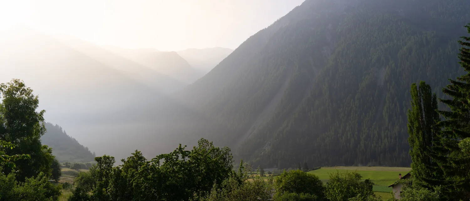 Das Tal bei Ramosch im Morgenlicht, mit den bewaldeten Hängen auf beiden Seiten.