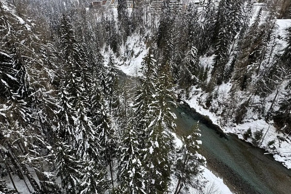 The river through a snowy forest, seen from above.