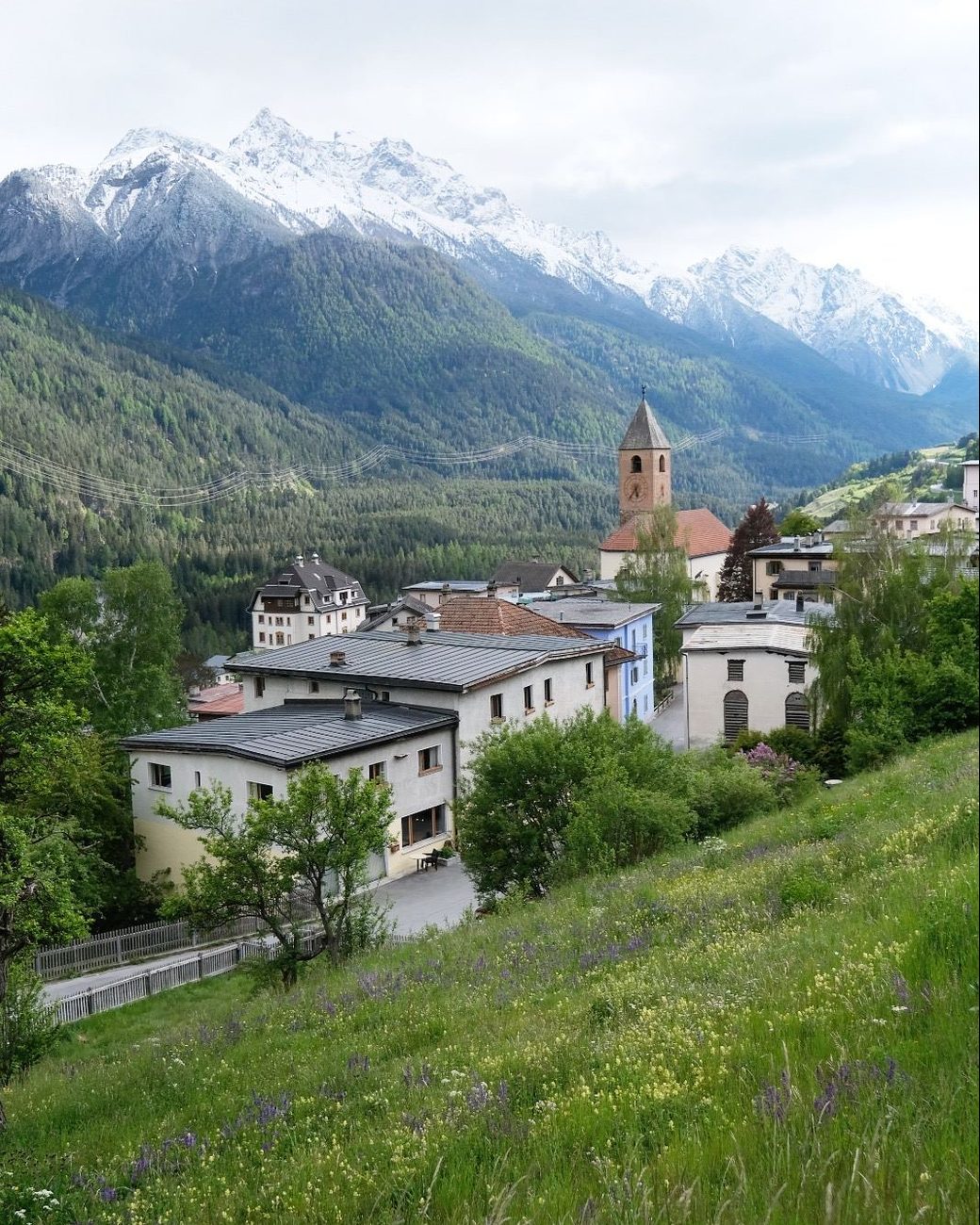 Ramosch: die Dorfhäuser rund um den Kirchturm, dahinter schneebedeckte Gipfel und im Vordergrund eine Blumenwiese.