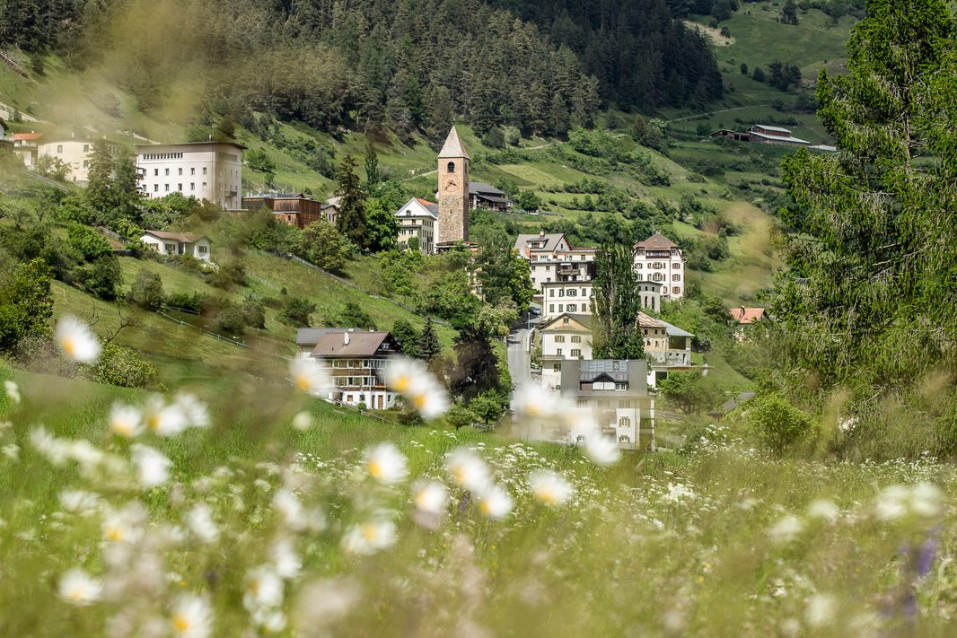 Das Dorf mit dem Kirchturm am Berghang, gesehen von einer Wiese voller Margeriten.