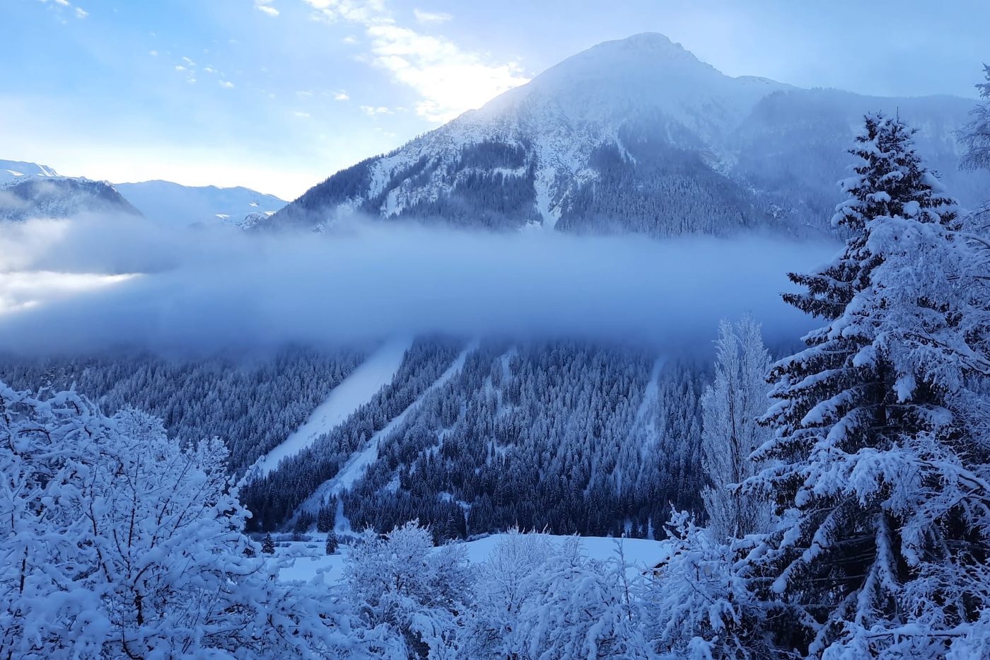 Verschneite Fichten und ein Berg über einem Tal voller tief hängender Wolken, an einem klaren Wintertag.