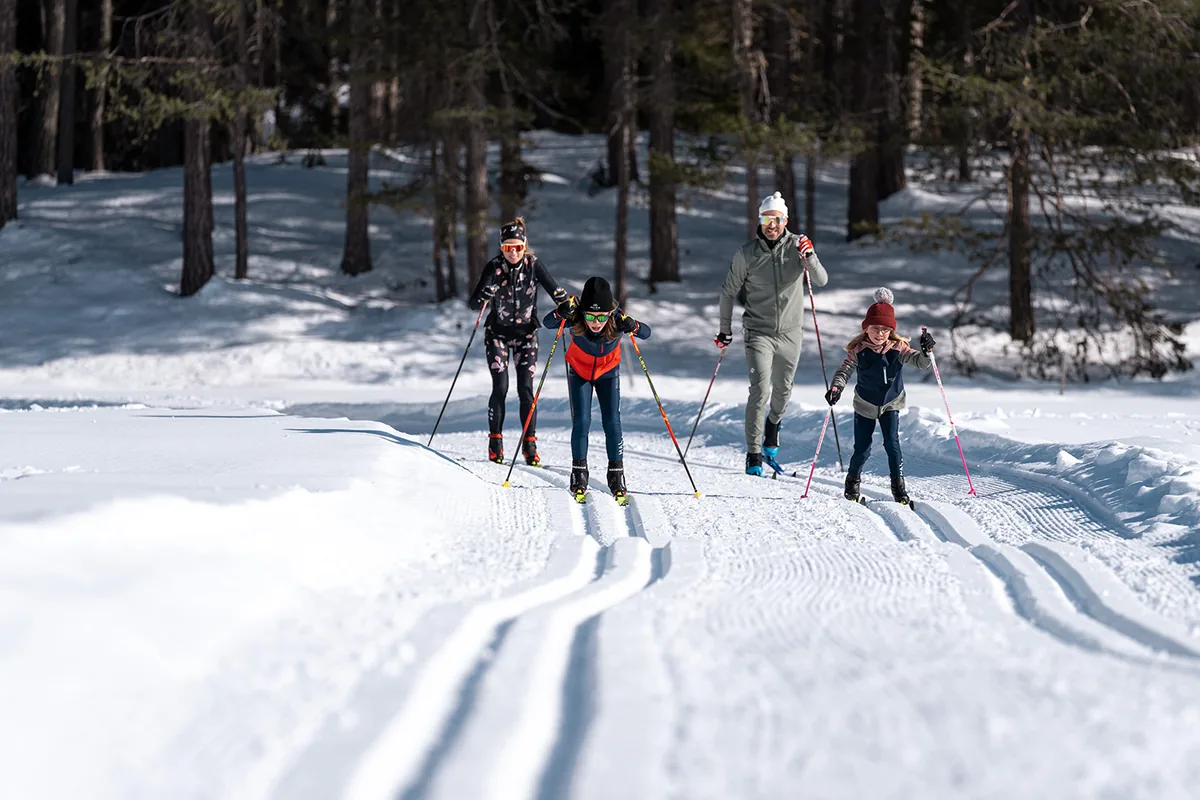 A family cross-country skiing in single file along a trail through a snowy forest.