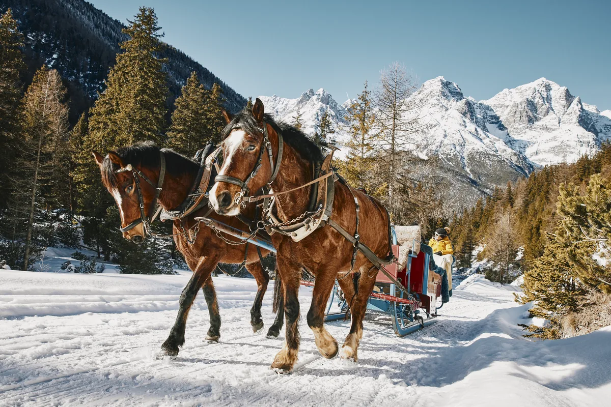 Zwei Pferde ziehen einen Schlitten durch den Schnee, dahinter weisse Berggipfel.