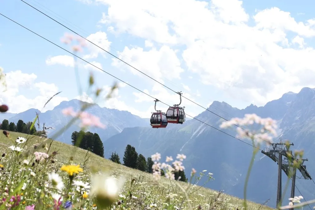 Een rode gondel boven een bloeiende bergweide, met de bergen erachter.