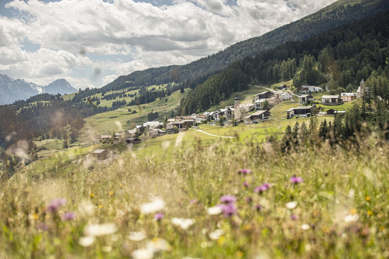 An Engadine mountain village among green slopes and flower meadows.